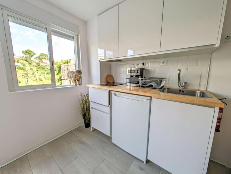 Estudio Vila Isabel - B Coimbra Ngoại thất bức ảnh